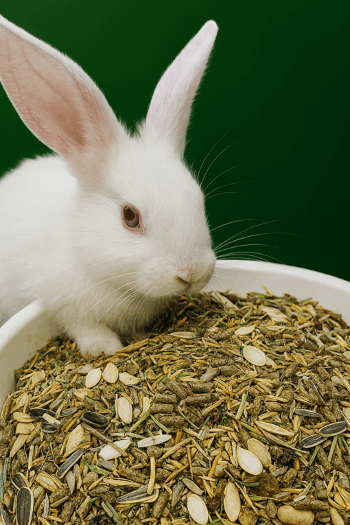 Çinçilla, Hamster, Tavşan ve Ginepig Yemi – Lüks Kemirgen Karışımı